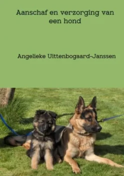 Aanschaf en verzorging van een hond