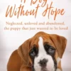 A Dog Without Hope