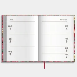 Agenda Mini D2 26/27