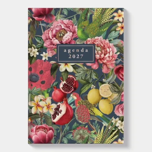 Agenda Mini D4 2027