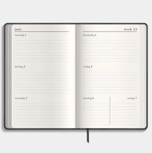 Agenda Pocket Deluxe D2 26/27
