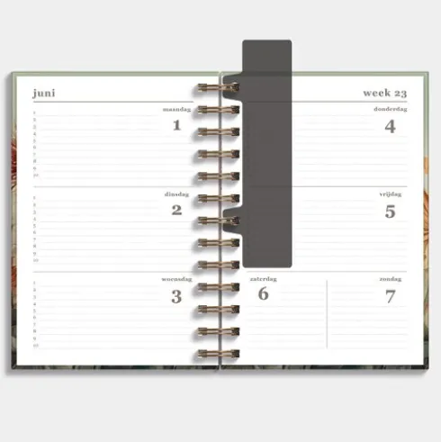 Agenda Spiraal Medium D3 26/27