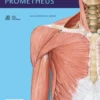 Algemene anatomie en bewegingsapparaat
