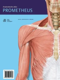 Algemene anatomie en bewegingsapparaat