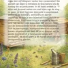 Alles over Bijen en Bijenkasten