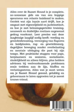 Alles over de Basset Hound