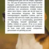 Alles over de Beagle