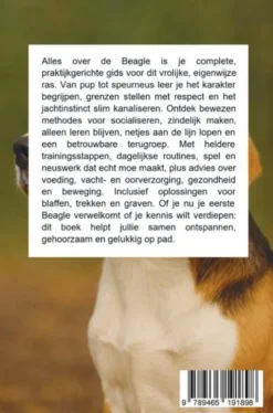 Alles over de Beagle