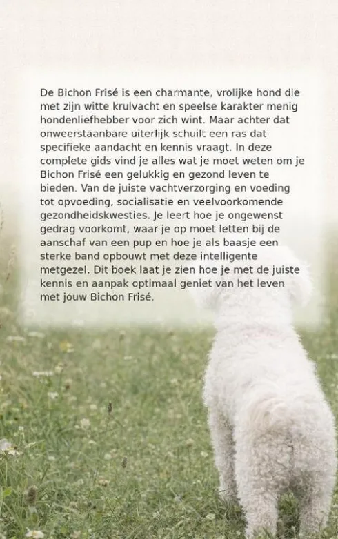 Alles over de Bichon Frise