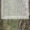 Alles over de Boomkruiper