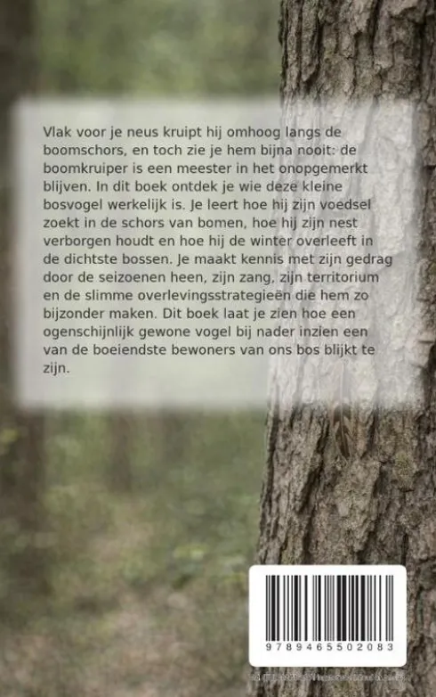 Alles over de Boomkruiper