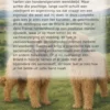 Alles over de Briard