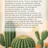 Alles over de Cactus