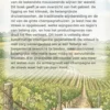 Alles over de Champagnestreek
