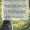 Alles over de Dwergschnauzer