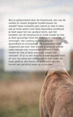 Alles over de Greyhound