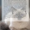 Alles over de heilige birmaan