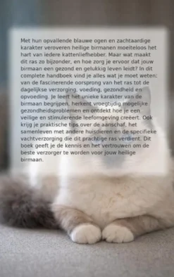 Alles over de heilige birmaan