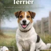 Alles over de Jack Russell Terriër
