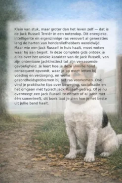 Alles over de Jack Russell Terriër