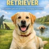 Alles over de Labrador Retriever
