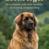 Alles over de Leonberger