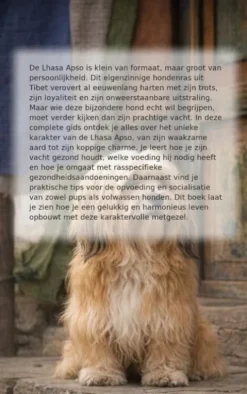 Alles over de Lhasa Apso
