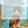 Alles over de Sheltie