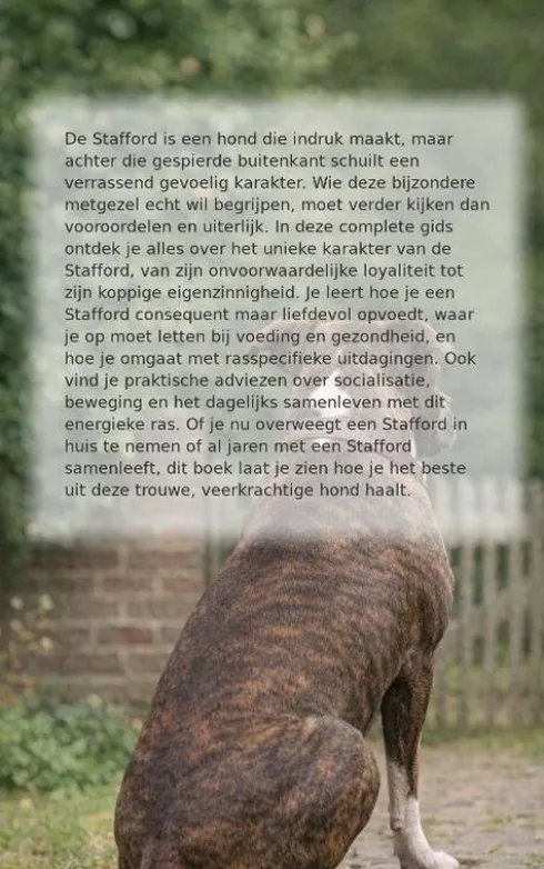 Alles over de Stafford