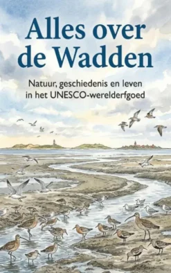 Alles over de Wadden