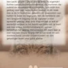 Alles over Kattengedrag Lezen