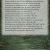 Alles over Krokodillen