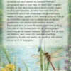 Alles over Libellen