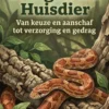 Alles over Slangen als Huisdier