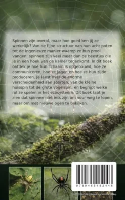 Alles over Spinnen