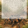Alles over Spinnen als Huisdier