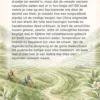 Alles over Thee