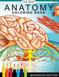 Anatomy coloring book: Muscles and Physiology Workbook Edition
