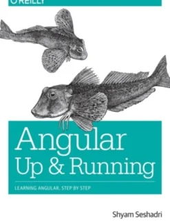 Angular: Up and Running