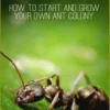 Ant Farming: How to Start and Grow Your Own Ant Colony