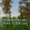 A Thousand-Mile Walk to the Gulf (Hardcover)