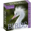 Audubon Birds Page-A-Day® Calendar 2027