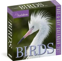 Audubon Birds Page-A-Day® Calendar 2027