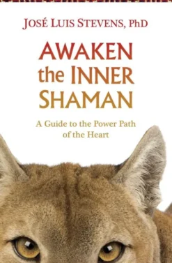 Awaken The Inner Shaman