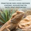 Baardagamaverzorging voor Beginnende Eigenaren