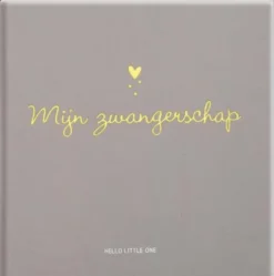 Baby invulboeken - Mijn zwangerschap