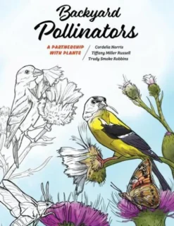 Backyard Pollinators