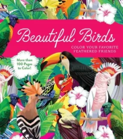 Beautiful Birds