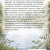 Beginnen met vissen