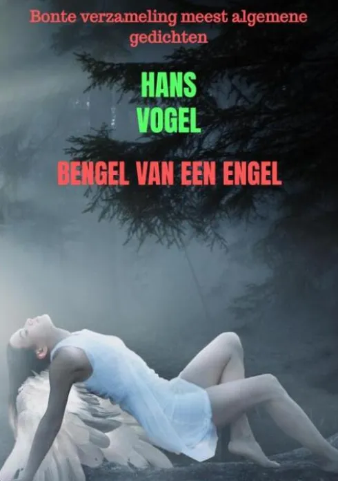 Bengel van een engel
